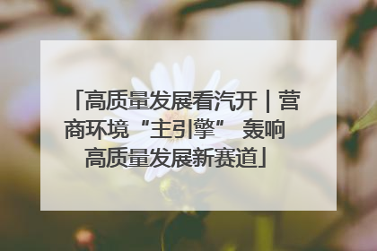 高质量发展看汽开｜营商环境“主引擎” 轰响高质量发展新赛道