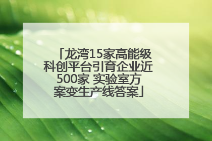 龙湾15家高能级科创平台引育企业近500家 实验室方案变生产线答案