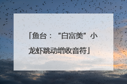 鱼台：“白富美”小龙虾跳动增收音符