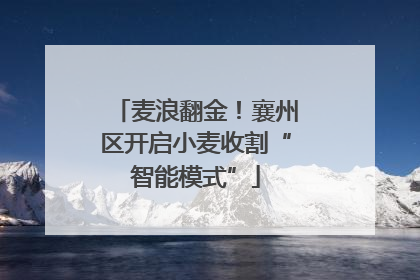 麦浪翻金！襄州区开启小麦收割“智能模式”