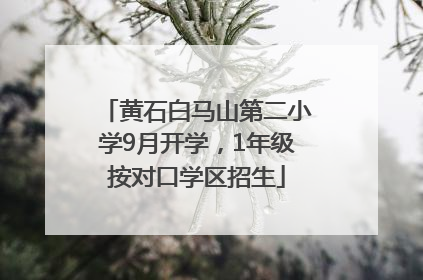 黄石白马山第二小学9月开学，1年级按对口学区招生