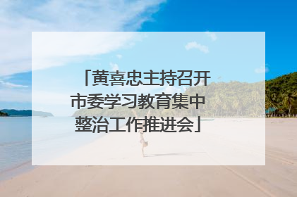 黄喜忠主持召开市委学习教育集中整治工作推进会