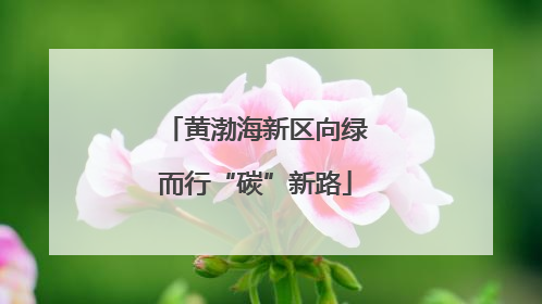 黄渤海新区向绿而行“碳”新路