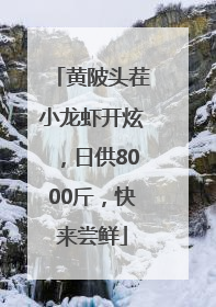 黄陂头茬小龙虾开炫，日供8000斤，快来尝鲜