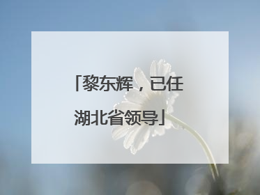 黎东辉，已任湖北省领导