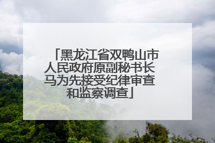 黑龙江省双鸭山市人民政府原副秘书长马为先接受纪律审查和监察调查
