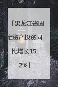 黑龙江省固定资产投资同比增长15.2%