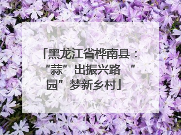 黑龙江省桦南县：“蒜”出振兴路 “园”梦新乡村