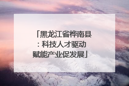 黑龙江省桦南县：科技人才驱动 赋能产业促发展