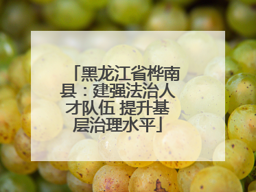 黑龙江省桦南县：建强法治人才队伍 提升基层治理水平