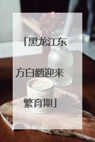 黑龙江东方白鹳迎来繁育期