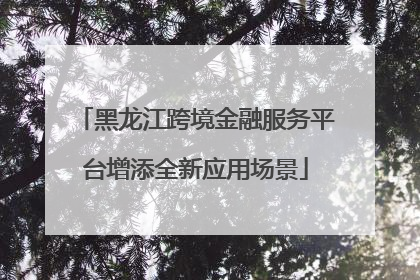 黑龙江跨境金融服务平台增添全新应用场景