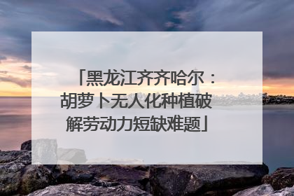 黑龙江齐齐哈尔：胡萝卜无人化种植破解劳动力短缺难题