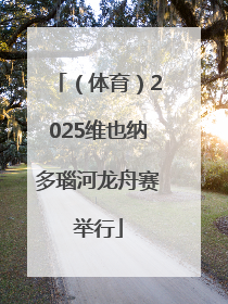 （体育）2025维也纳多瑙河龙舟赛举行