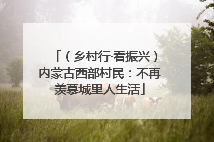 （乡村行·看振兴）内蒙古西部村民：不再羡慕城里人生活
