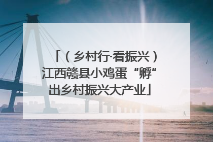 （乡村行·看振兴）江西赣县小鸡蛋“孵”出乡村振兴大产业