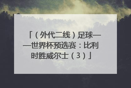 （外代二线）足球——世界杯预选赛：比利时胜威尔士（3）