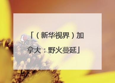 （新华视界）加拿大：野火蔓延