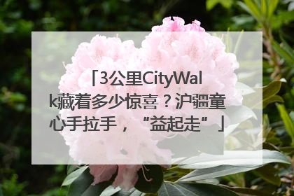 3公里CityWalk藏着多少惊喜？沪疆童心手拉手，“益起走”