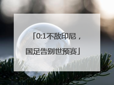0:1不敌印尼，国足告别世预赛