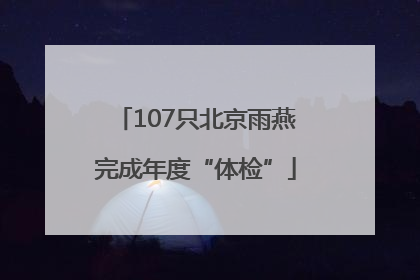 107只北京雨燕完成年度“体检”