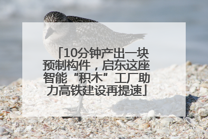 10分钟产出一块预制构件，启东这座智能“积木”工厂助力高铁建设再提速