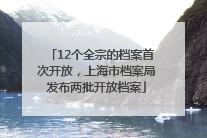12个全宗的档案首次开放，上海市档案局发布两批开放档案