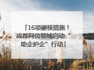 16项硬核措施！成都网信领域启动“助企护企”行动
