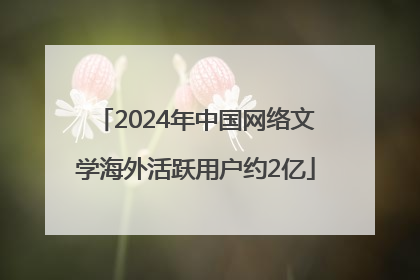 2024年中国网络文学海外活跃用户约2亿