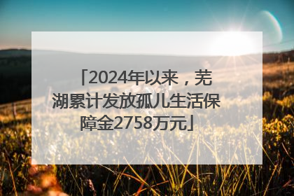 2024年以来，芜湖累计发放孤儿生活保障金2758万元