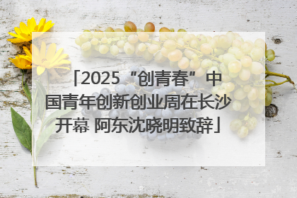 2025“创青春”中国青年创新创业周在长沙开幕 阿东沈晓明致辞