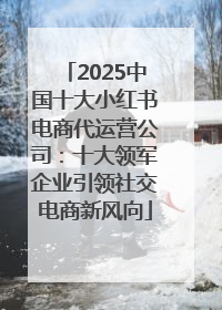 2025中国十大小红书电商代运营公司：十大领军企业引领社交电商新风向
