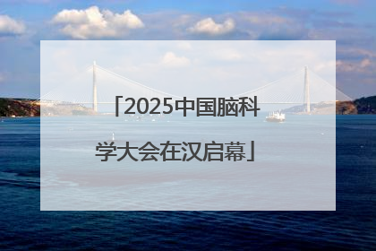 2025中国脑科学大会在汉启幕