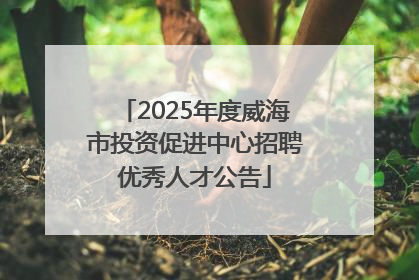 2025年度威海市投资促进中心招聘优秀人才公告