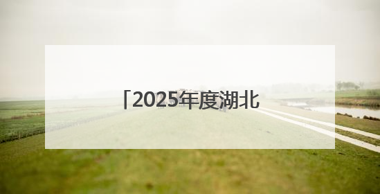 2025年度湖北省中医药适宜技术培训班圆满举办