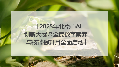 2025年北京市AI创新大赛暨全民数字素养与技能提升月全面启动