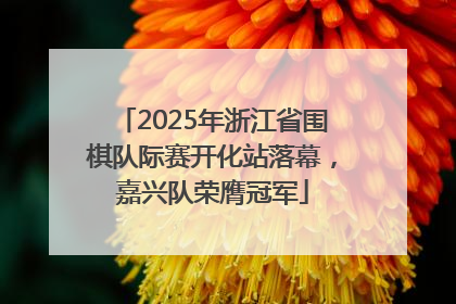 2025年浙江省围棋队际赛开化站落幕，嘉兴队荣膺冠军