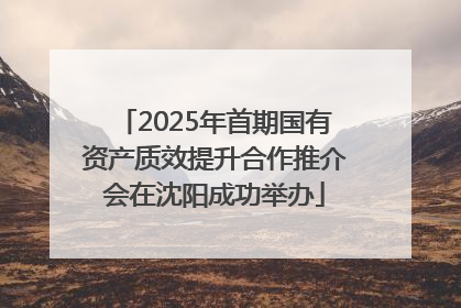 2025年首期国有资产质效提升合作推介会在沈阳成功举办