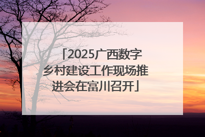 2025广西数字乡村建设工作现场推进会在富川召开