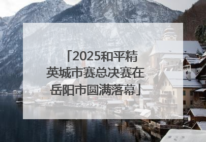 2025和平精英城市赛总决赛在岳阳市圆满落幕