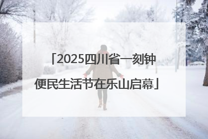 2025四川省一刻钟便民生活节在乐山启幕