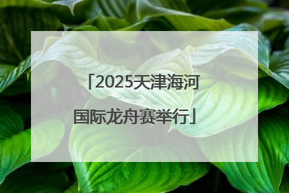 2025天津海河国际龙舟赛举行