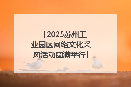 2025苏州工业园区网络文化采风活动圆满举行