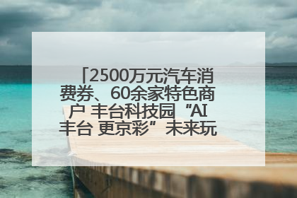 2500万元汽车消费券、60余家特色商户 丰台科技园“AI丰台 更京彩”未来玩家市集活动正式开幕