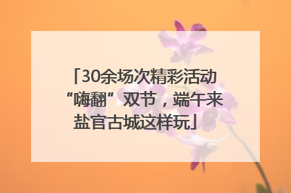 30余场次精彩活动“嗨翻”双节，端午来盐官古城这样玩