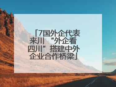 7国外企代表来川 “外企看四川”搭建中外企业合作桥梁