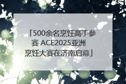 500余名烹饪高手参赛 ACE2025亚洲烹饪大赛在济南启幕