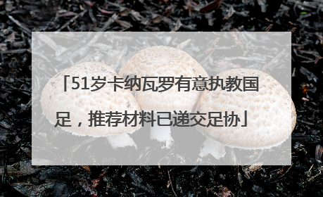 51岁卡纳瓦罗有意执教国足，推荐材料已递交足协