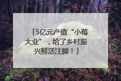 5亿元产值“小莓大业”，给了乡村振兴鲜活注脚！