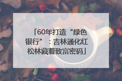 60年打造“绿色银行”：吉林通化红松林藏着致富密码